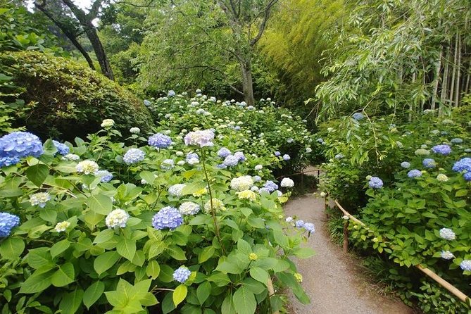 Kamakura and Eastern Kyoto With Lots of Temples and Shrines - Subtopic