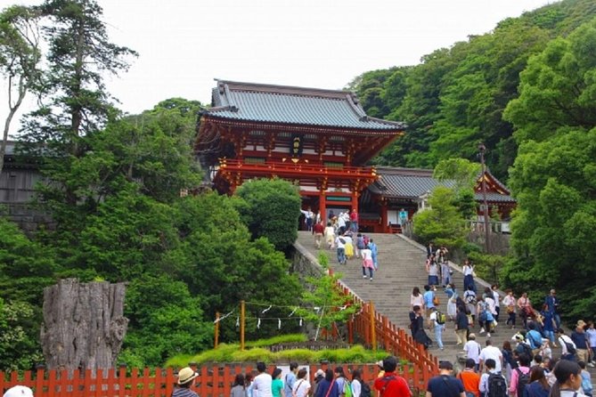 Kamakura Bamboo Forest and Great Buddha Private Tour - Customization Options