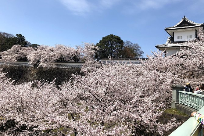 Kanazawa Full-Day Small-Group Samurai Town Tour, Omicho Market 2024 - Tour Logistics