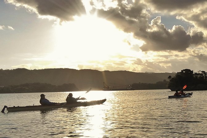 Kayak Mangroves or Coral Reef: Private Tour in North Okinawa - Conclusion