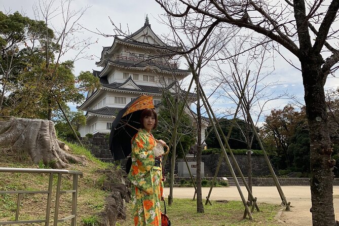 Kimono Dressing & Tea Ceremony Experience at a Beautiful Castle - Guidance From Experts