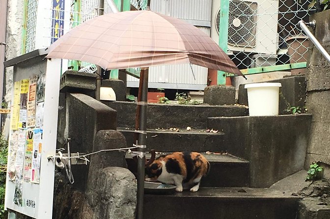 Kobe, Shioya, a Quaint Fishing Town Walking Tour - End Point of the Tour