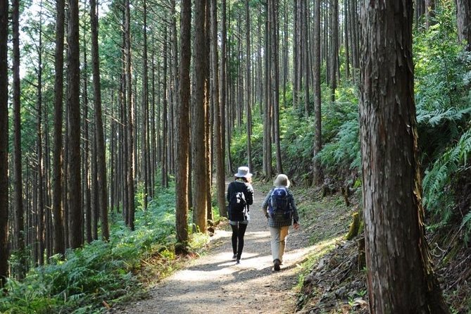 Kumano Kodo Pilgrimage Full-Day Private Trip With Government Licensed Guide - Conclusion