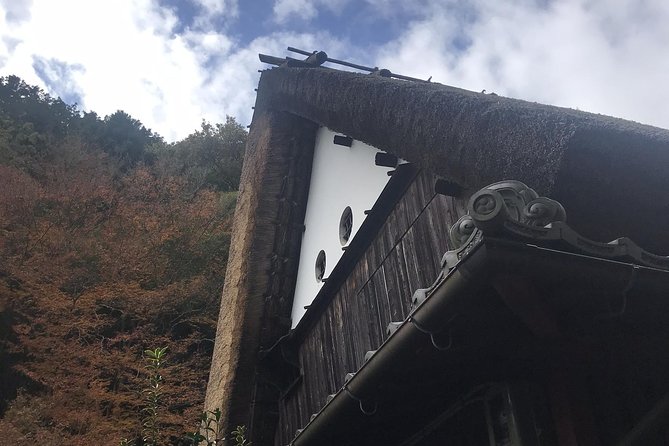 Kyoto: Descending Arashiyama (Private) - Professional Guide Service