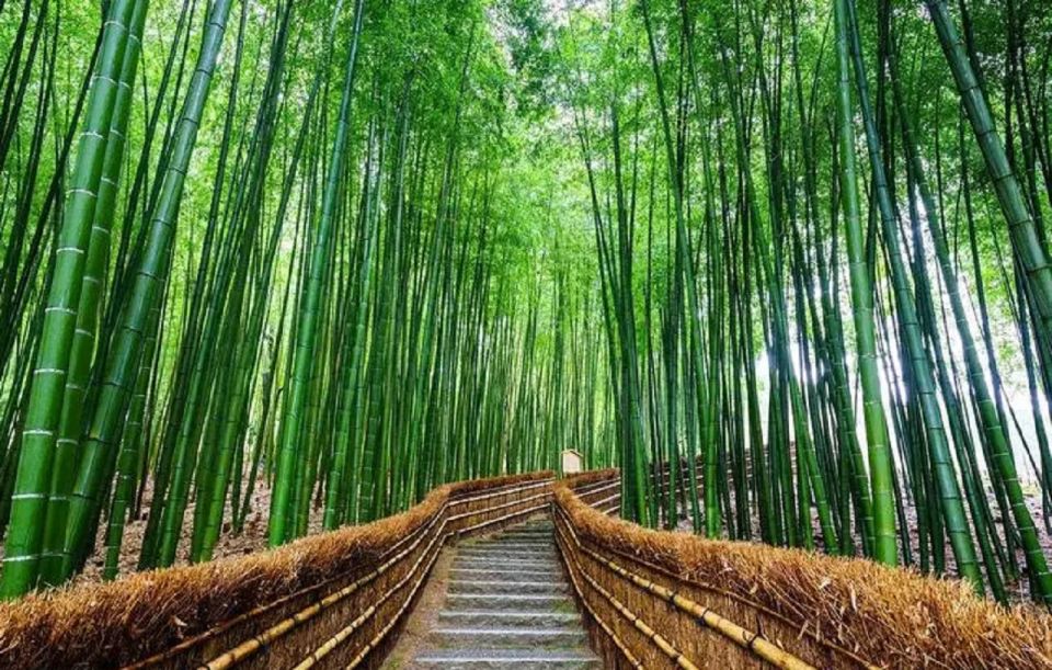 Kyoto/Osaka: Sanzenin, Bamboo Forest, & Arashiyama Day Trip - Additional Details