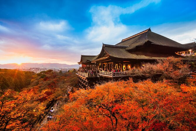 Kyoto Top Highlights Full-Day Trip From Osaka/Kyoto - Exclusions
