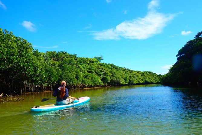 Miyara River 90-Minute Small-Group SUP or Canoe Tour 2024 - Ishigaki - Precautions and Recommendations