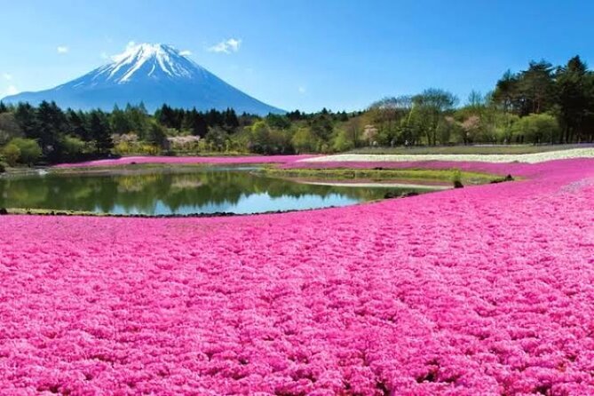 Mount Fuji and Hakone Private Tour With English Speaking Driver - Availability and Bookings