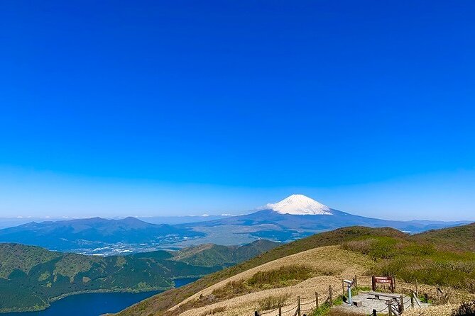 Mt. Fuji & Hakone 1 Day Bus Tour From Tokyo Station Area - Common questions