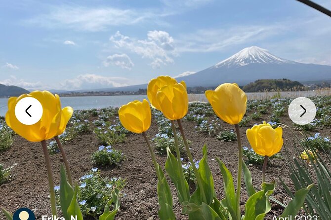 Mt. Fuji, Hakone Full-Day Private Tour With English Driver Guide - Last Words