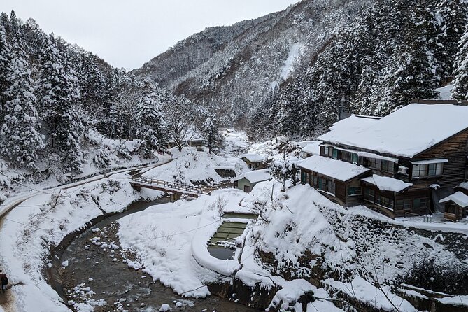 Nagano Snow Monkey 1 Day Tour With Beef Sukiyaki Lunch From Tokyo - Common questions