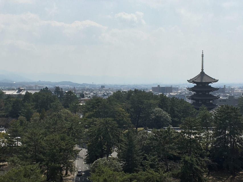 Nara: Half-Day Private Guided Tour - Pickup Locations