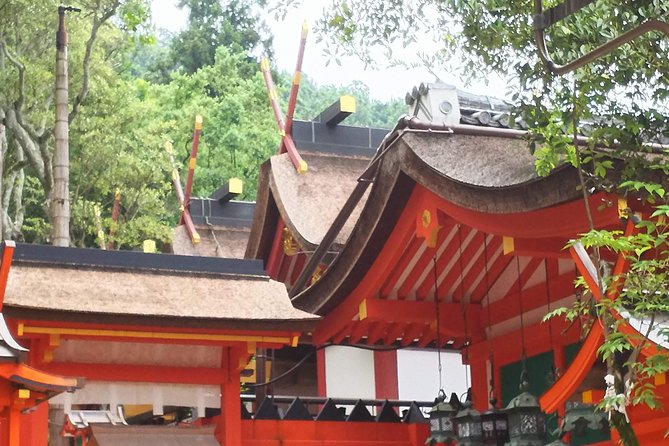 Nara Todaiji Lazy Bird Tour - Weather Concerns