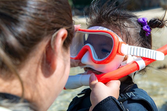 OK From 2 Years Old! / Sea Picnic & Snorkel - Frequently Asked Questions