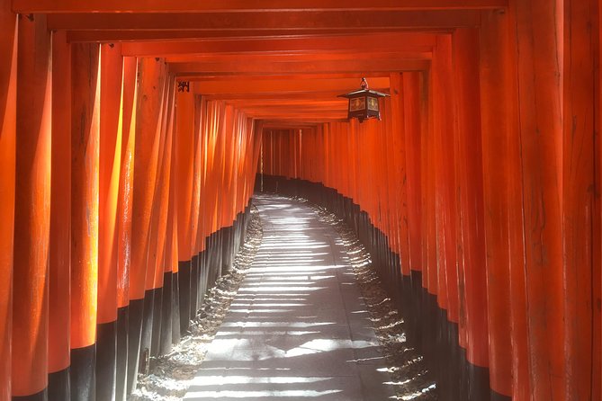 One Day Landing Type Sightseeing Around Kyotos Two Major Tourist Destinations "Fushimi Inari Taisha" - Discovering Fushimi Inaris Torii Gates