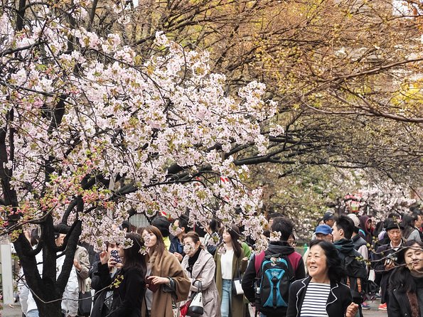 Osaka Private Food Tours by Local Foodies: 100% Personalized - Conclusion