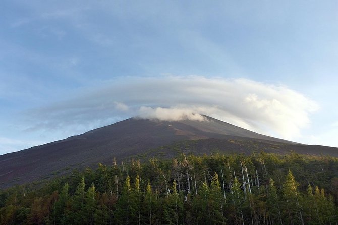 Private 3-Hour Biking Adventure: Descend Mount Fuji 2024 - Fujikawaguchiko-machi - Support for Cyclists and Dietary Needs