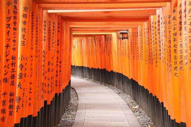 Private Customized 2 Full Days Tour in Kyoto for First Timers - Tour Operator Information