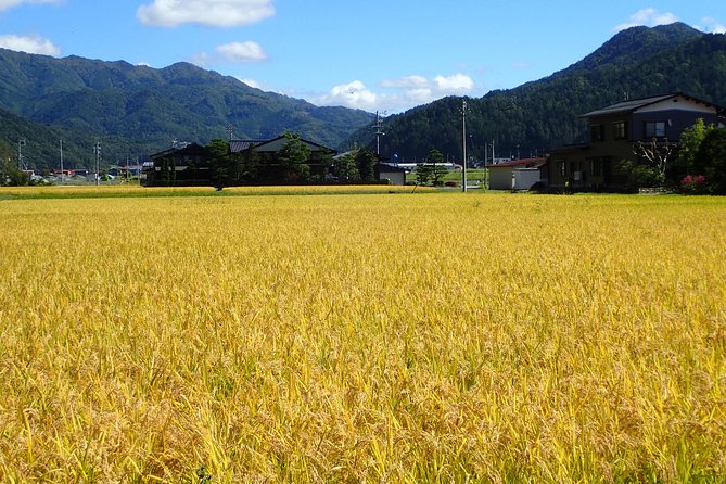 Private-group Morning Cycling Tour in Hida-Furukawa - Scenic Landscapes