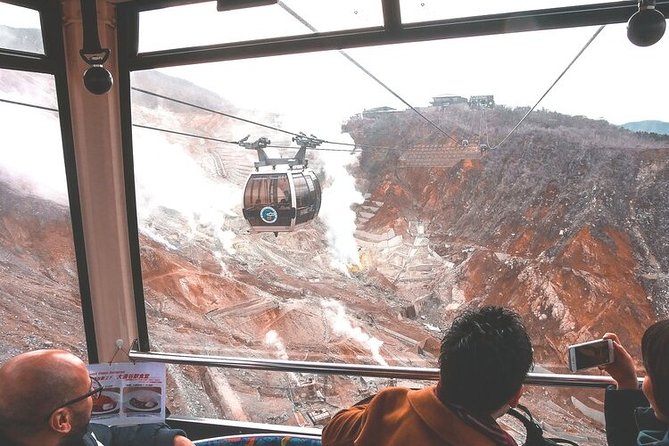 Private Hakone Tour - View of Mt. Fuji, Nature and Culture - Last Words