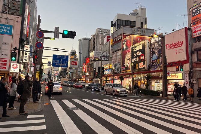 Private Half-Day Tour Colorful and Busy Street in Central Tokyo - Customer Reviews