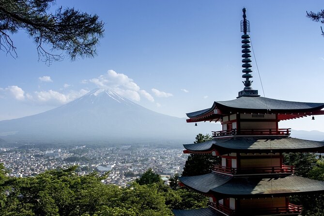 Private Mount Fuji Tour - up to 9 Travelers - Pricing and Booking Details