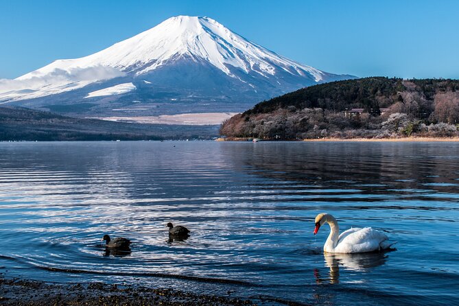 Private Mount Fuji Tour With English Speaking Chauffeur - Last Words