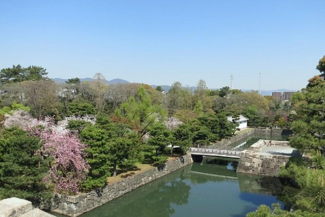 Private Nijo Castle Sightseeing and Nishiki Food Tour - Accessibility Information