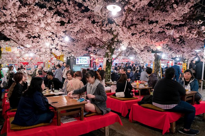 Private & Unique Kyoto Cherry Blossom "Sakura" Experience - Cancellation Policy