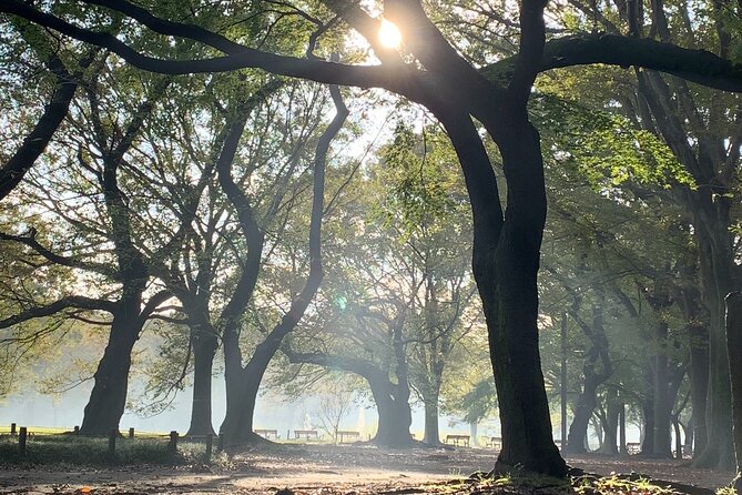 Sacred Morning Walk and Brunch Meiji Shrine - Common questions