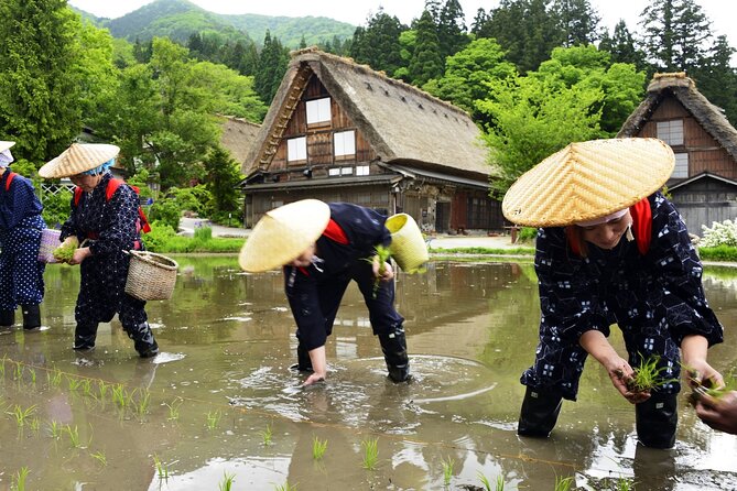 Shirakawago Day Trip: Government Licensed Guide & Vehicle From Kanazawa - Booking Confirmation and Participation