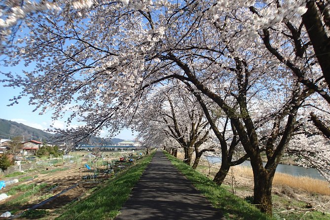 Short Morning Cycling Tour in Hida - Booking Details