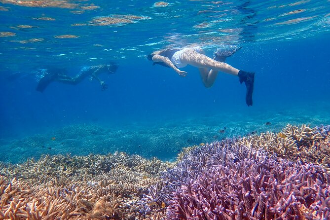 Snorkeling Tour at Phantom Island - Safety and Accessibility