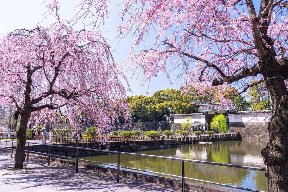 Tokyo: Chiyoda Imperial Palace Walking Tour - Directions