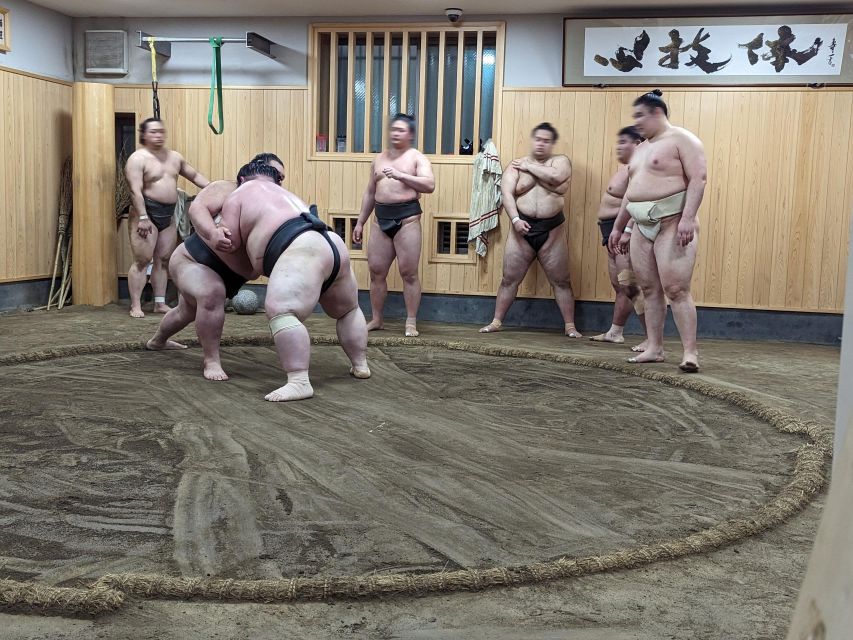 Tokyo: Morning Sumo Practice Viewing - Frequently Asked Questions