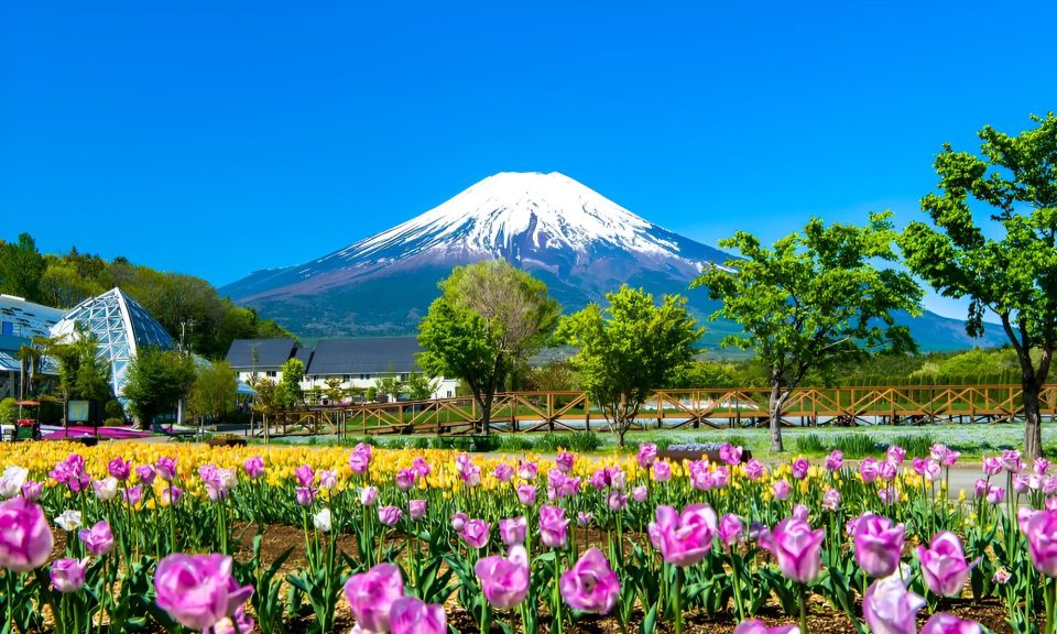 Tokyo: Mt. Fuji Festival, Ropeway, & Fruit Picking Day Trip - Mt. Fuji 5th Station Visit