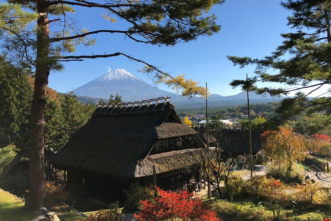 Tour Around Mount Fuji Group From 2 People ,000 - Personalized Attention From the Guide