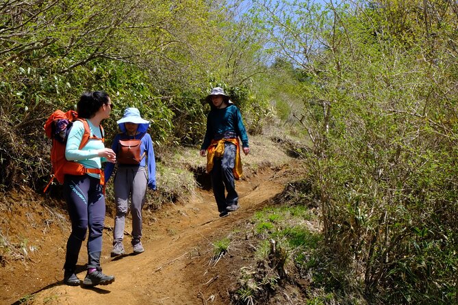 Traverse the Outer Rim of Hakone Caldera and Enjoy an Onsen Hiking Tour - Group Size and Pricing