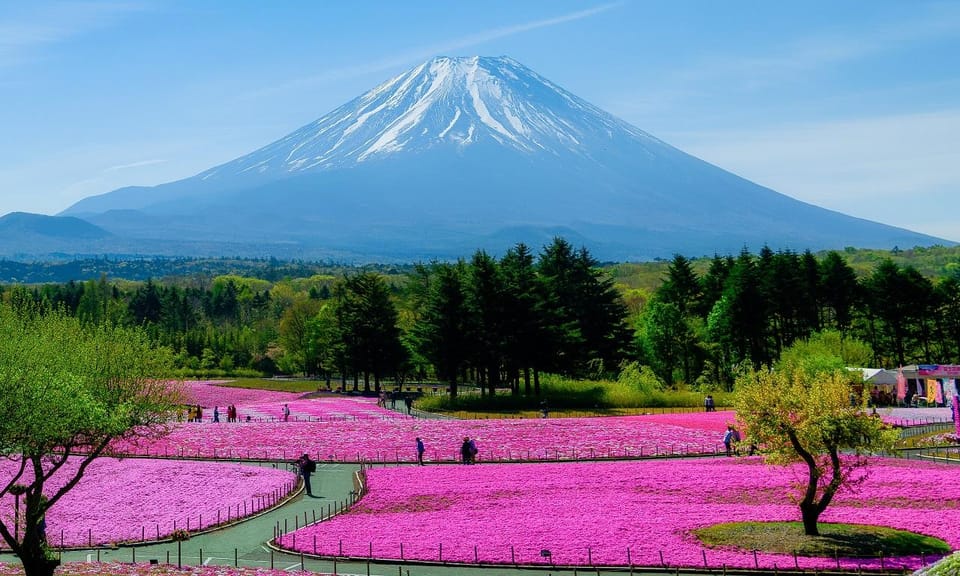 View of Mt. Fuji, Chureito Pagoda and Hakone Cruise Day Trip - Additional Information