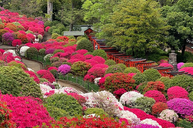 Yanaka Walking Tour - Tokyo Old Quarter - Customer Support and Assistance Details