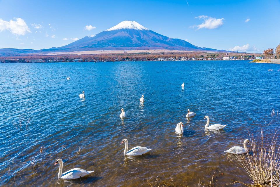 1-Day Trip: Mt Fuji + Kawaguchi Lake Area - Booking Directions and Policies