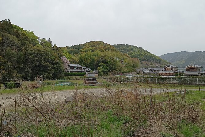 3-Hour Private Tour in Osaka Rapids Hike and Natural Hot Spring - Conclusion