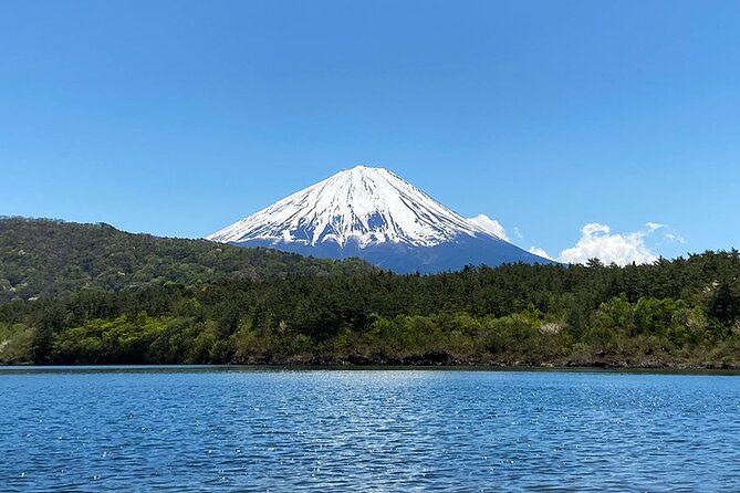 Aokigahara Nature Conservation Full-Day Hiking Tour - Tour Operator Information