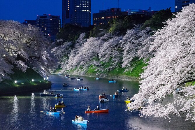 Cherry Blossom Private Tour - Contact and Support