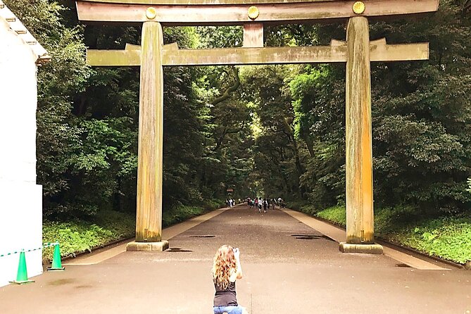 Complete Tokyo Tour in One Day! Explore All 10 Popular Sights! - Shinjuku Gyoen National Garden