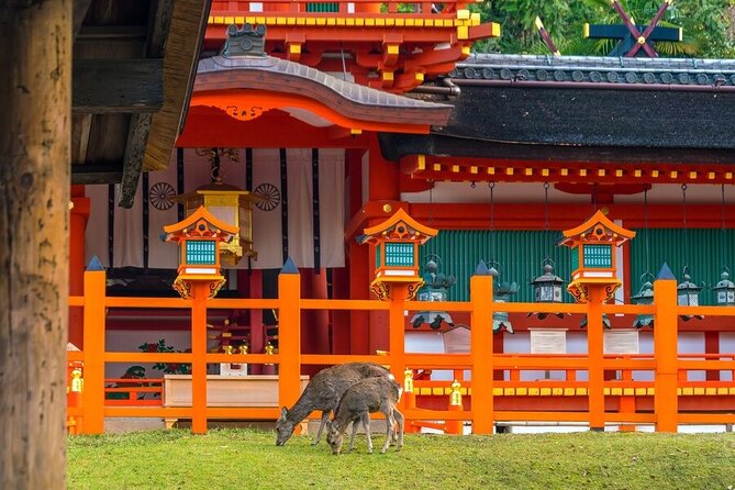 Explore the Best Spots of Arashiyama / Nara in a One Day Private Tour From Kyoto - Refund & Cancellation Details