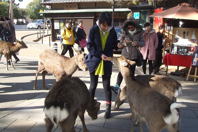 Exploring Nara - Exploring Naras Key Attractions