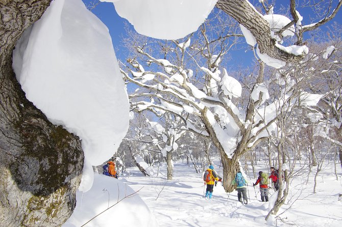 Fluffy New Snow and the Earth Beating, Goshougake Oyunuma Snowshoeing Tour - Capturing Stunning Winter Landscapes