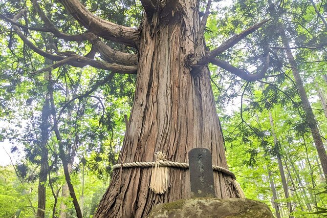 Forest Shrines of Togakushi, Nagano: Private Walking Tour - Conclusion