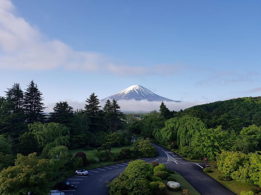 From Tokyo: Mt. Fuji And Hakone Private Sightseeing Day Trip - Activities